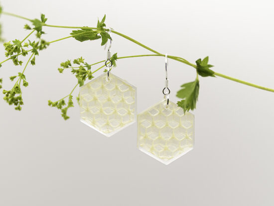 Šūnas formas epoksīda auskari.