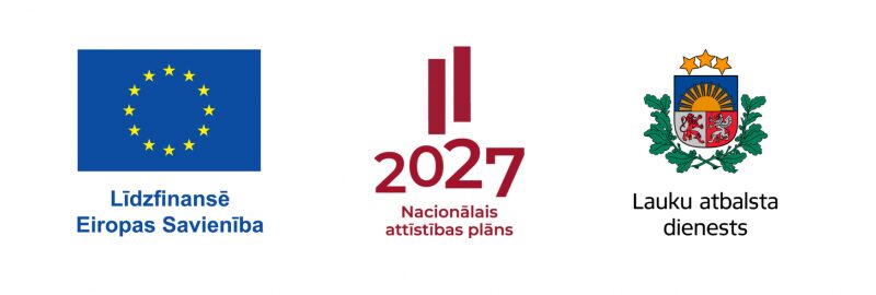 es-nap-lad-2021-2027.jpg